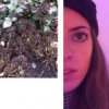 Sofia Amaral Coelho's Paris list